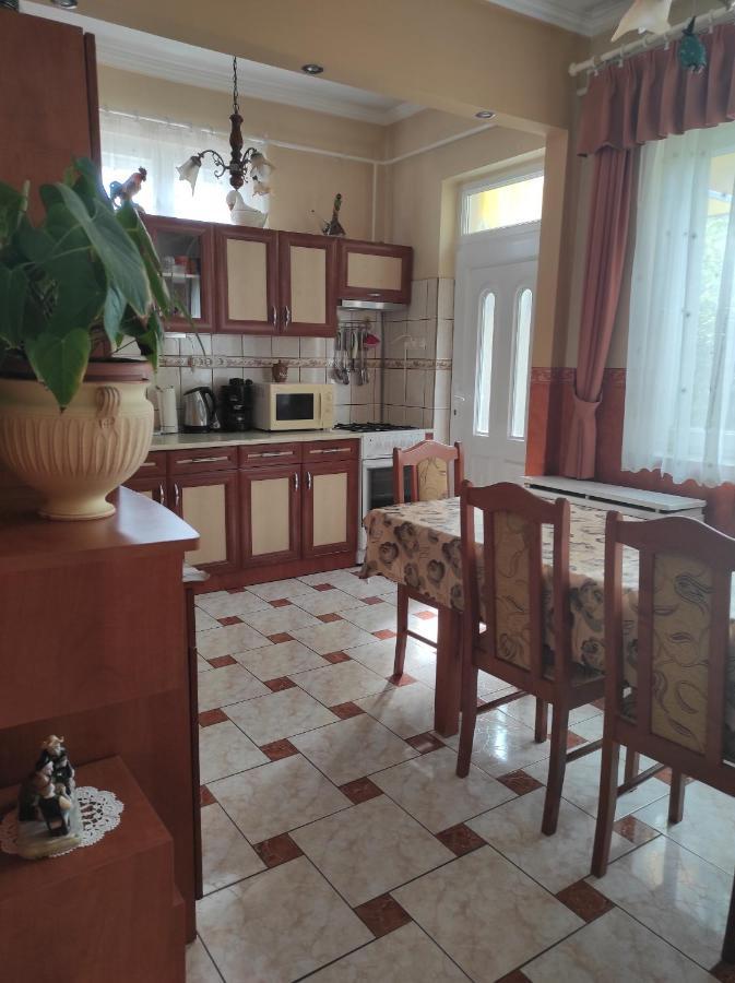 Apartament Kovacs Vendeghaz Hajdúszoboszló Zewnętrze zdjęcie